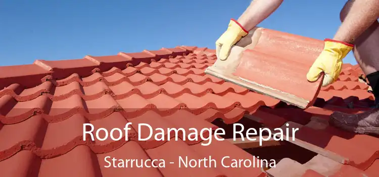 Roof Damage Repair Starrucca - North Carolina