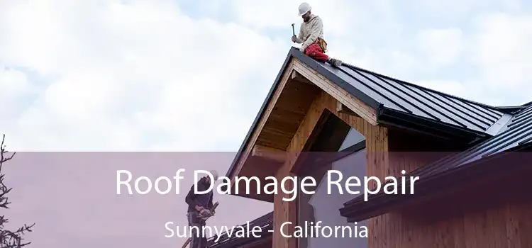 Roof Damage Repair Sunnyvale - California