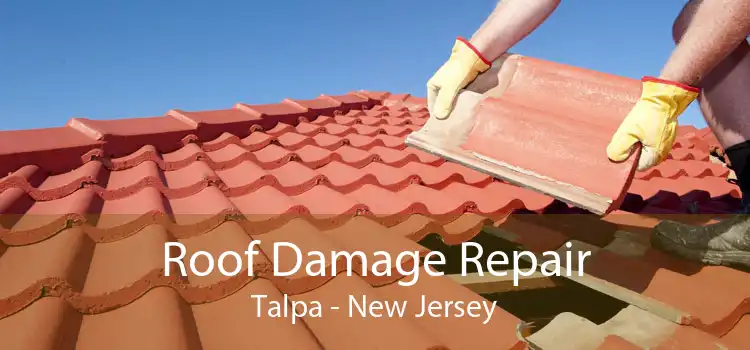 Roof Damage Repair Talpa - New Jersey