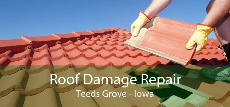 Roof Damage Repair Teeds Grove - Iowa
