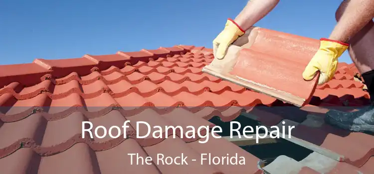 Roof Damage Repair The Rock - Florida