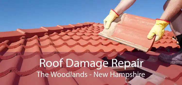 Roof Damage Repair The Woodlands - New Hampshire