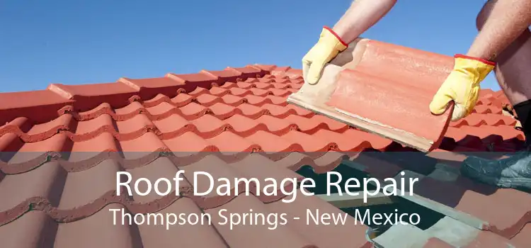 Roof Damage Repair Thompson Springs - New Mexico