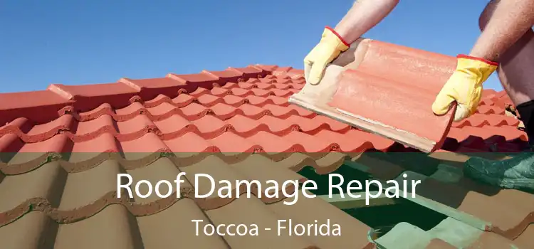 Roof Damage Repair Toccoa - Florida