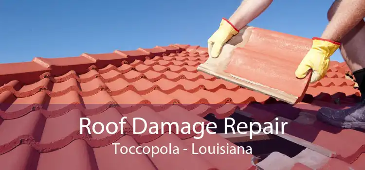 Roof Damage Repair Toccopola - Louisiana