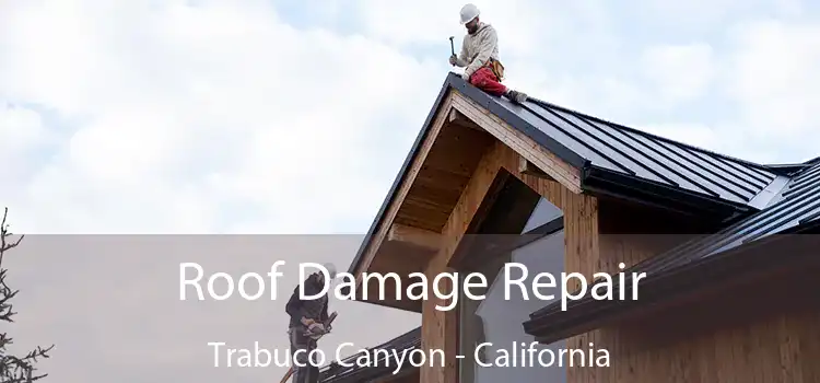 Roof Damage Repair Trabuco Canyon - California