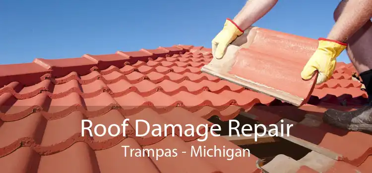 Roof Damage Repair Trampas - Michigan