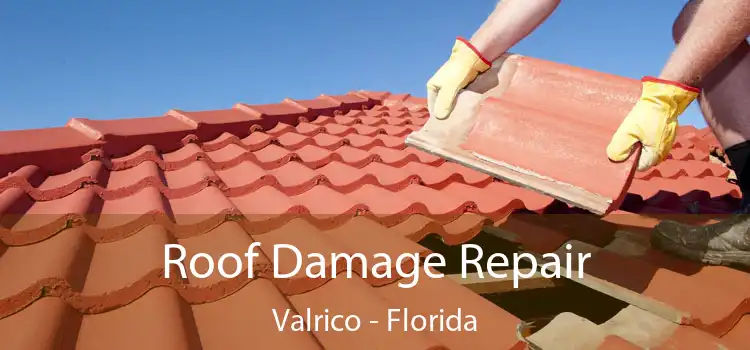 Roof Damage Repair Valrico - Florida