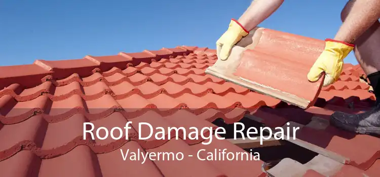 Roof Damage Repair Valyermo - California