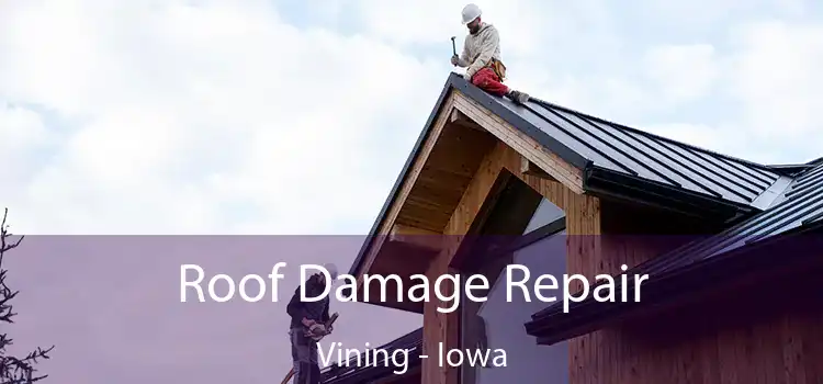 Roof Damage Repair Vining - Iowa