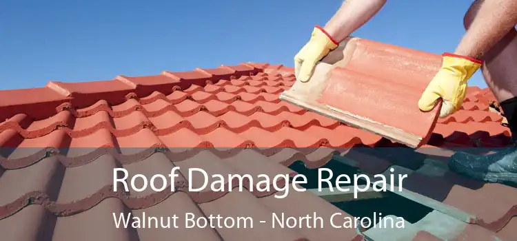 Roof Damage Repair Walnut Bottom - North Carolina