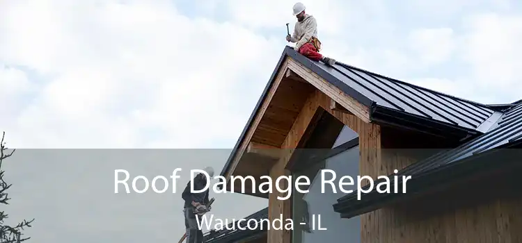 Roof Damage Repair Wauconda - IL