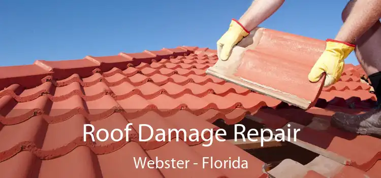 Roof Damage Repair Webster - Florida