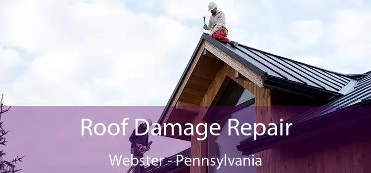 Roof Damage Repair Webster - Pennsylvania