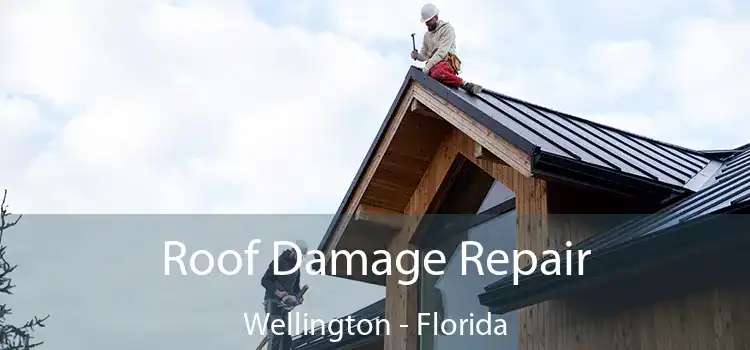 Roof Damage Repair Wellington - Florida