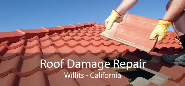 Roof Damage Repair Willits - California