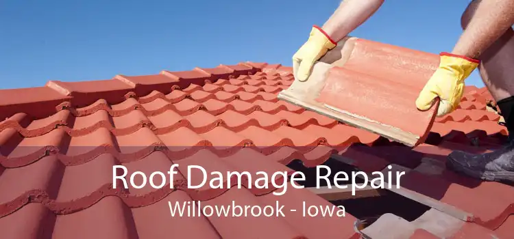 Roof Damage Repair Willowbrook - Iowa