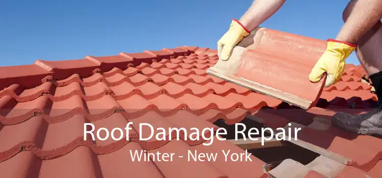 Roof Damage Repair Winter - New York