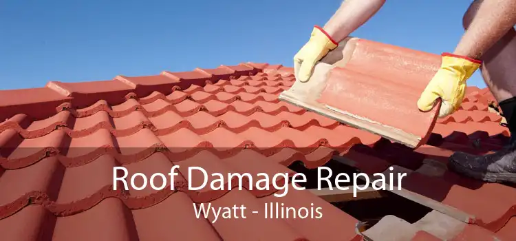 Roof Damage Repair Wyatt - Illinois