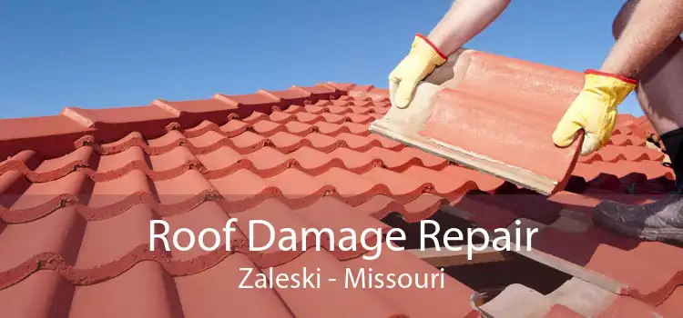 Roof Damage Repair Zaleski - Missouri