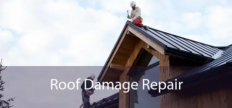 Roof Damage Repair 