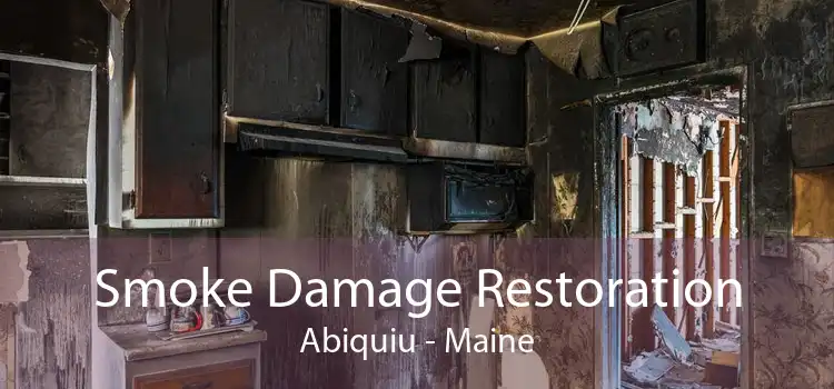Smoke Damage Restoration Abiquiu - Maine