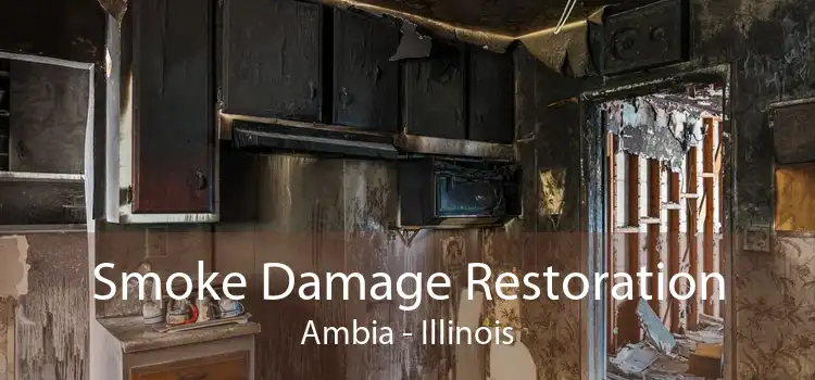 Smoke Damage Restoration Ambia - Illinois