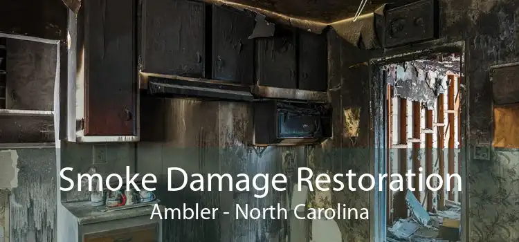 Smoke Damage Restoration Ambler - North Carolina