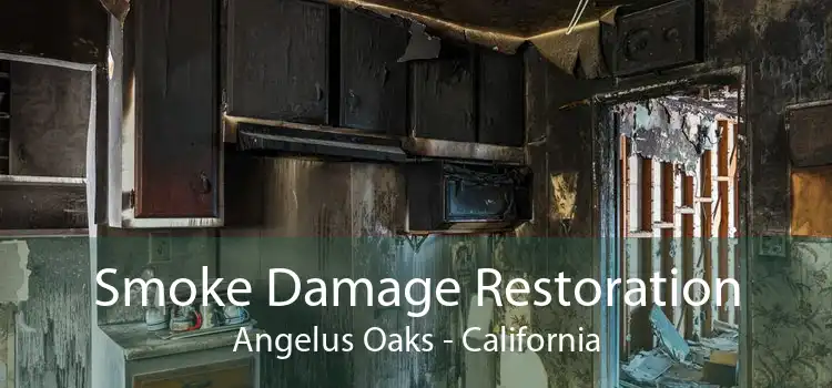 Smoke Damage Restoration Angelus Oaks - California