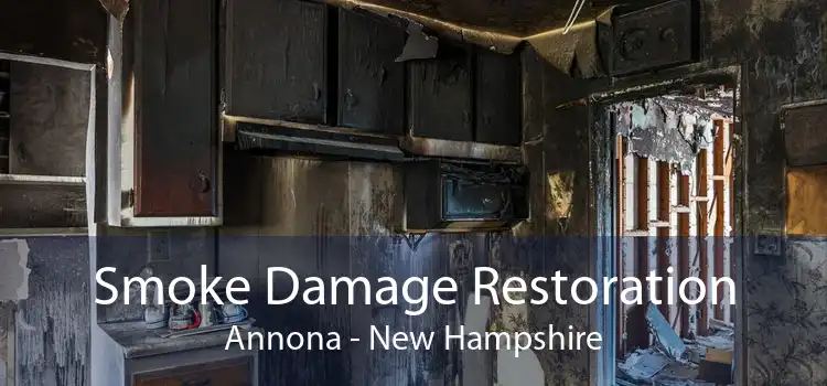 Smoke Damage Restoration Annona - New Hampshire