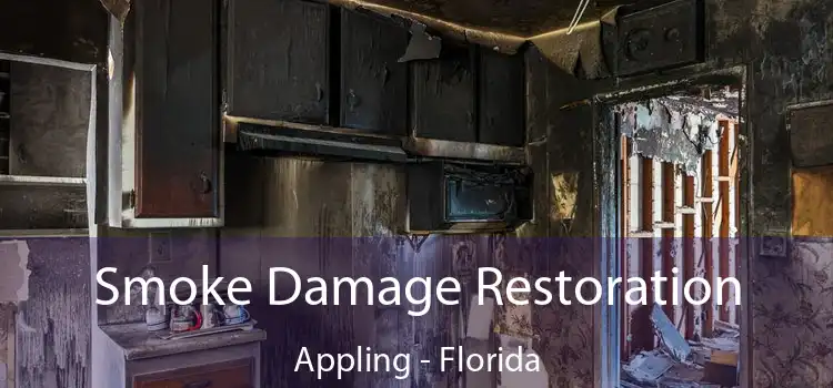 Smoke Damage Restoration Appling - Florida