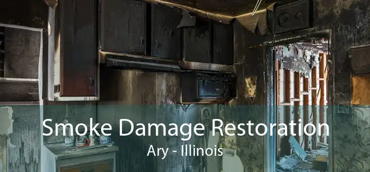 Smoke Damage Restoration Ary - Illinois