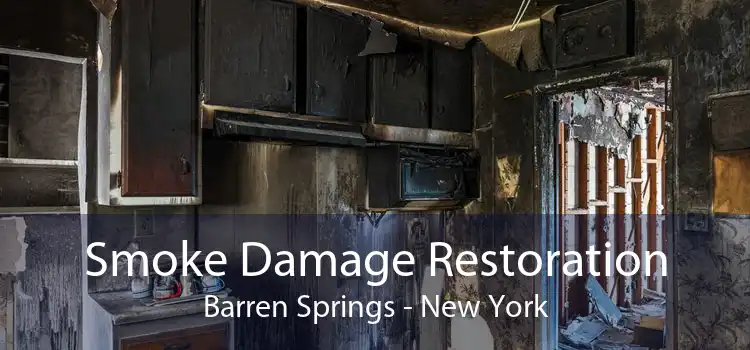 Smoke Damage Restoration Barren Springs - New York