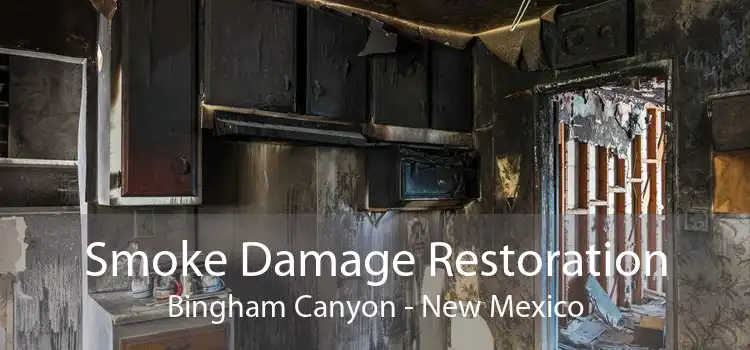 Smoke Damage Restoration Bingham Canyon - New Mexico