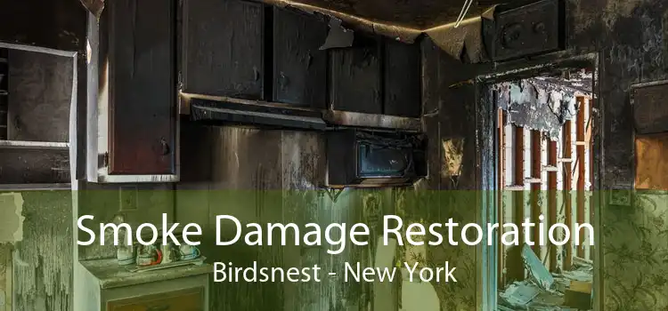 Smoke Damage Restoration Birdsnest - New York