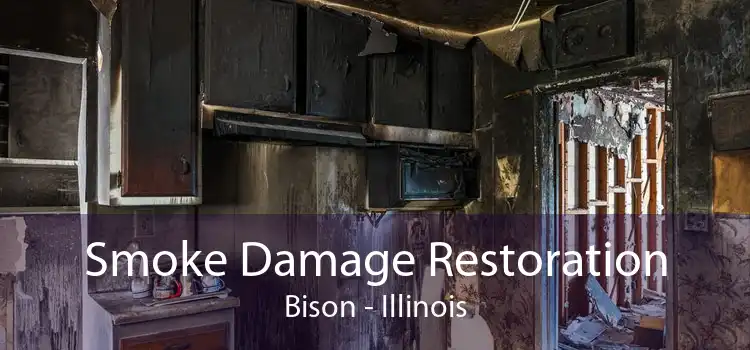 Smoke Damage Restoration Bison - Illinois