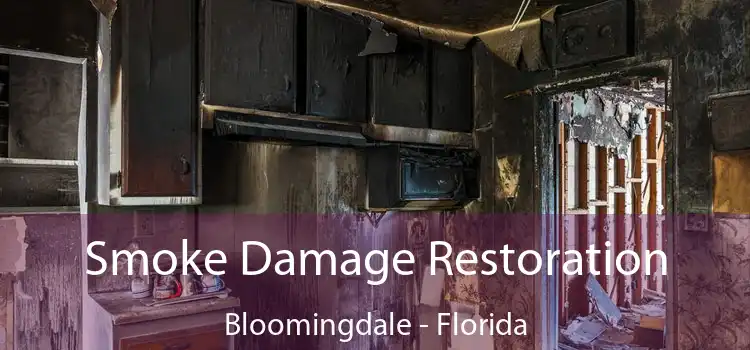 Smoke Damage Restoration Bloomingdale - Florida