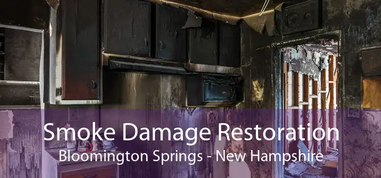 Smoke Damage Restoration Bloomington Springs - New Hampshire