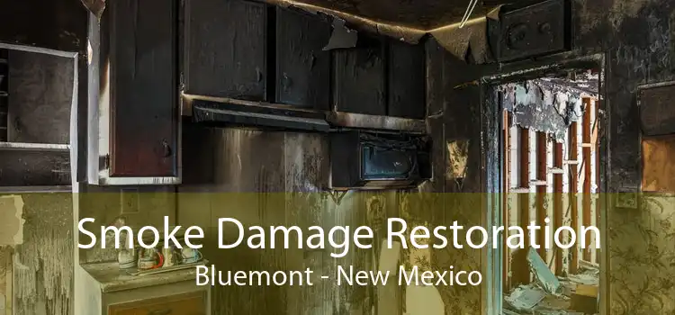 Smoke Damage Restoration Bluemont - New Mexico