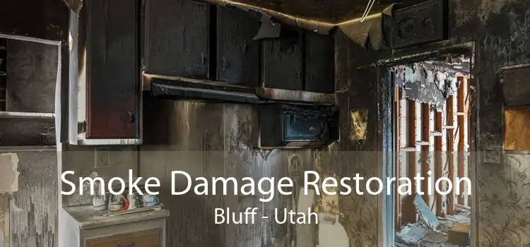 Smoke Damage Restoration Bluff - Utah