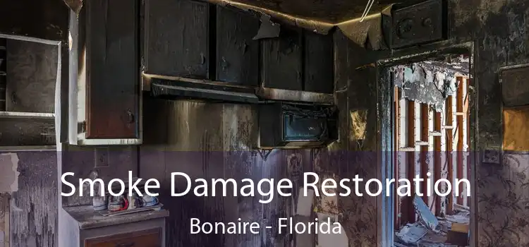 Smoke Damage Restoration Bonaire - Florida