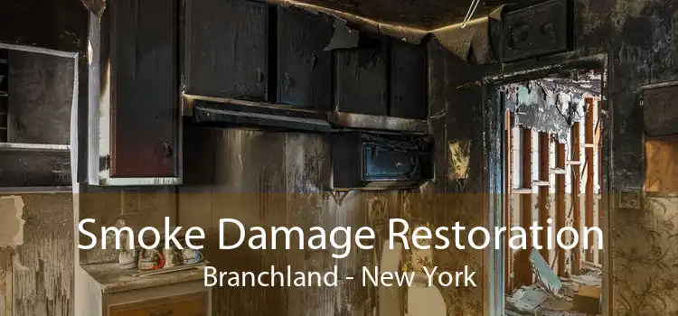 Smoke Damage Restoration Branchland - New York