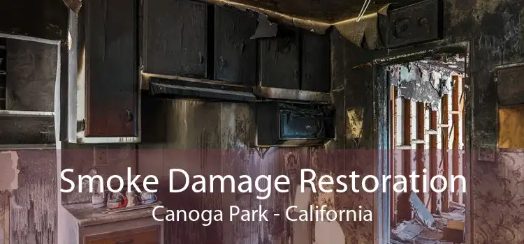 Smoke Damage Restoration Canoga Park - California