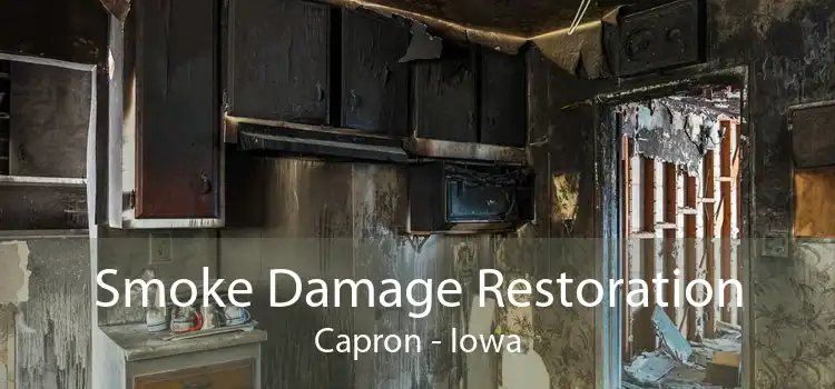 Smoke Damage Restoration Capron - Iowa