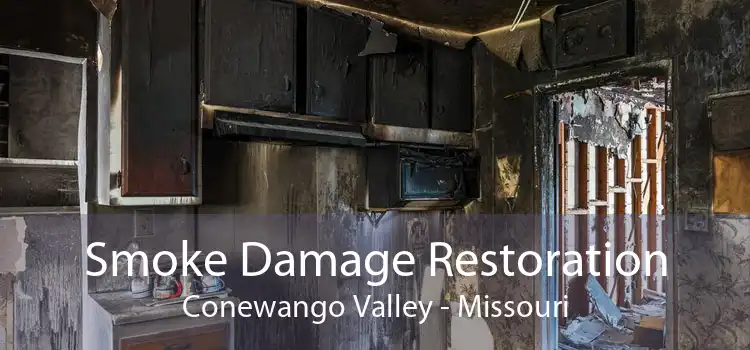 Smoke Damage Restoration Conewango Valley - Missouri