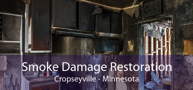 Smoke Damage Restoration Cropseyville - Minnesota