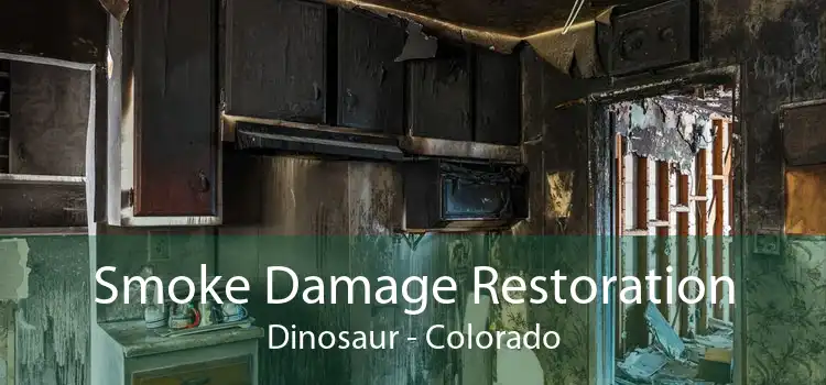 Smoke Damage Restoration Dinosaur - Colorado