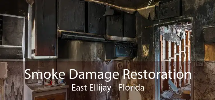Smoke Damage Restoration East Ellijay - Florida