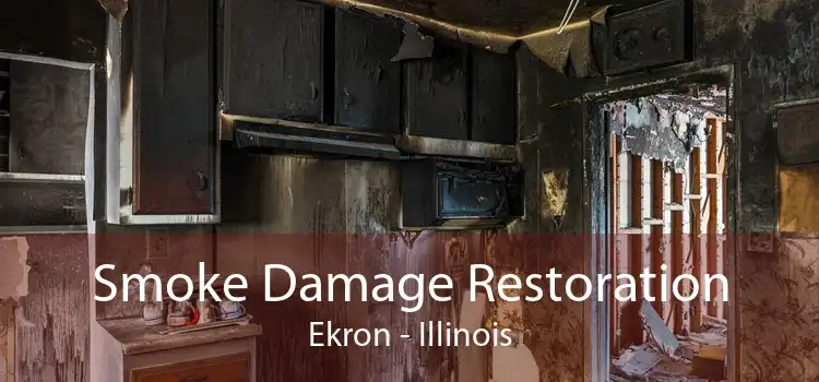 Smoke Damage Restoration Ekron - Illinois
