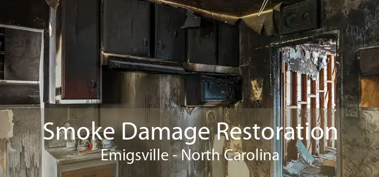 Smoke Damage Restoration Emigsville - North Carolina